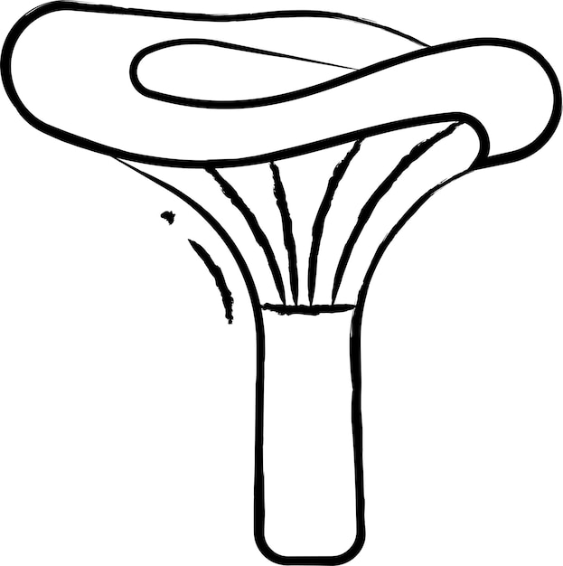 Ręcznie narysowana ilustracja wektorowa Lactarius deliciosus
