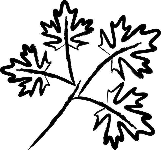 Plik wektorowy ręcznie narysowana ilustracja wektorowa liścia klonu