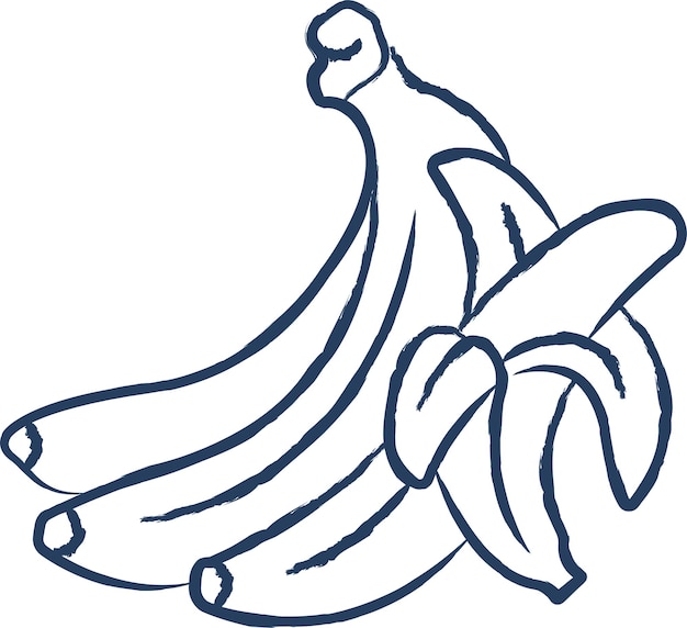 Ręcznie Narysowana Ilustracja Wektorowa Na Kształcie Banana