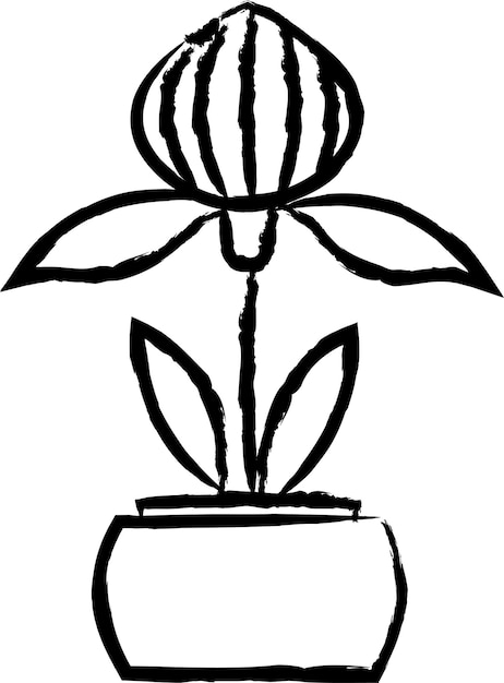 Ręcznie Narysowana Ilustracja Wektorowa Rośliny Orchidei