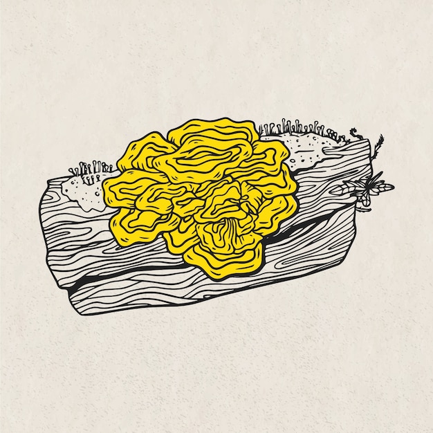 Plik wektorowy ręcznie narysowana ilustracja z grzybami tremella