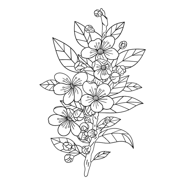 Plik wektorowy ręcznie narysowana ilustracja z kwiatami wiśni