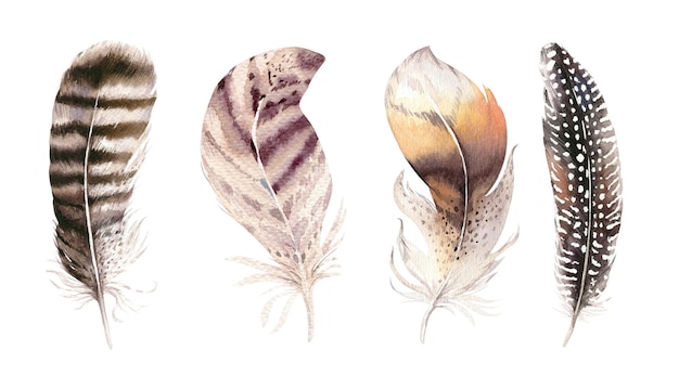 Ręcznie narysowany akwarelowy zestaw żywych piór Ilustracja w stylu boho izolowana na białym Designie muchy ptaków na wizytówkę ślubną Rustyczne pióra Jasne kolory