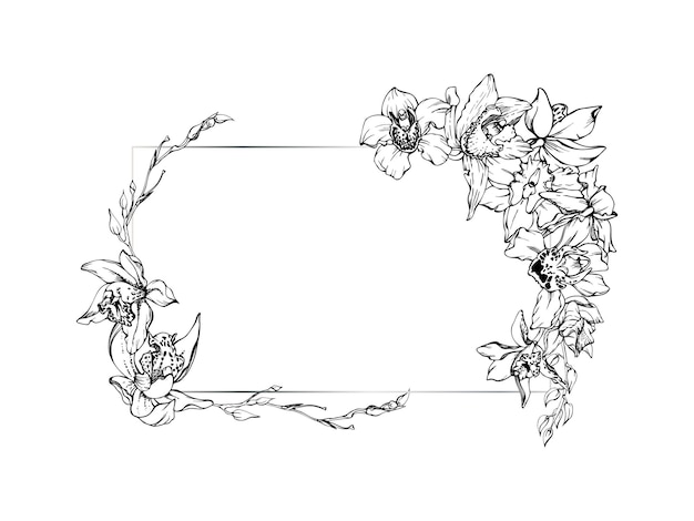 Plik wektorowy ręcznie narysowany atrament wektorowy kwiaty i gałęzie orchidei monochromatyczny szczegółowy zarys horyzontalna kompozycja ramki izolowana na białym tle projekt dla sztuki ściennej wydruk ślubny tatuaż okładka karty