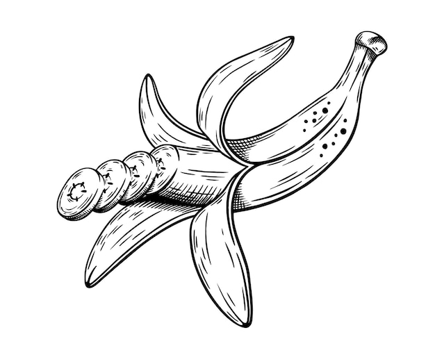 Plik wektorowy ręcznie narysowany szkic bananów