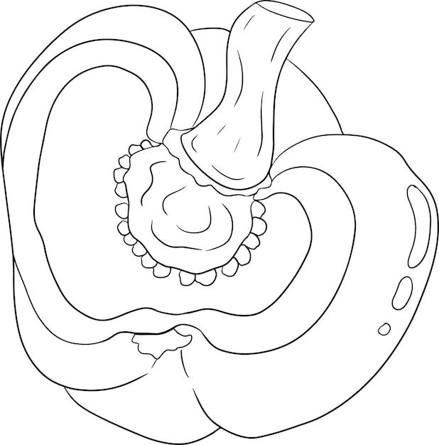 Ręcznie Rysowana Ilustracja Liniowa Różnych Rodzajów Pieprzu Papryka Słodka Papryka Warzywa P