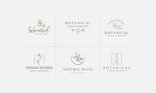Ręcznie Rysowana Kolekcja Ilustracji Kwiatowych Botanicznych Logo Dla Piękna Naturalnego Organicznego Premium Wektor