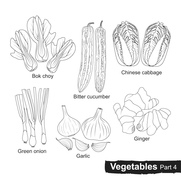 Ręcznie Rysowana Kolekcja Warzyw Część 4