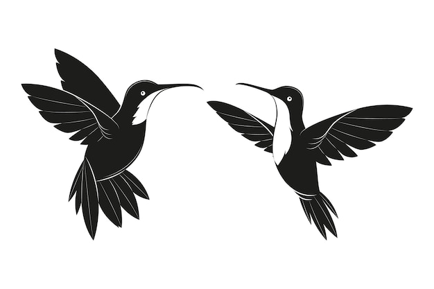 Plik wektorowy ręcznie rysowana sylwetka kolibra