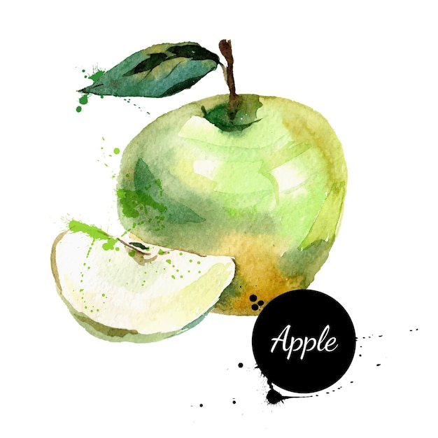 Ręcznie rysowane akwarela malarstwo na białym tle. Ilustracja wektorowa jabłka owocowego