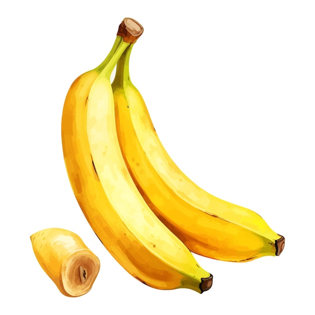 Ręcznie Rysowane Akwarela Owoc Bananowy Z Liści Clipart