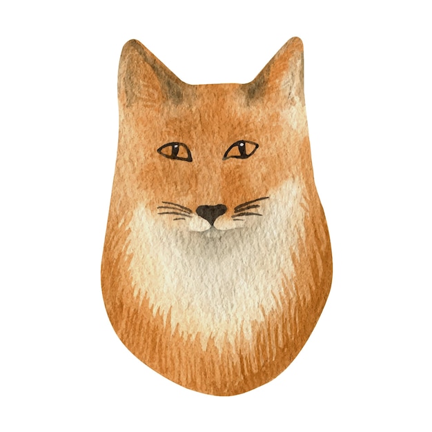 Ręcznie Rysowane Akwarela Red Fox Realistyczne Zwierzę Leśne