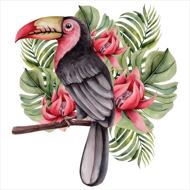 Plik wektorowy ręcznie rysowane akwarela tropikalny clipart tropic tukan ptak z ilustracjami botanicznymi kwiatami