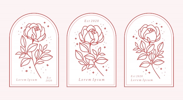 Ręcznie Rysowane Botaniczna Kolekcja Elementów Logo Kwiat Róży