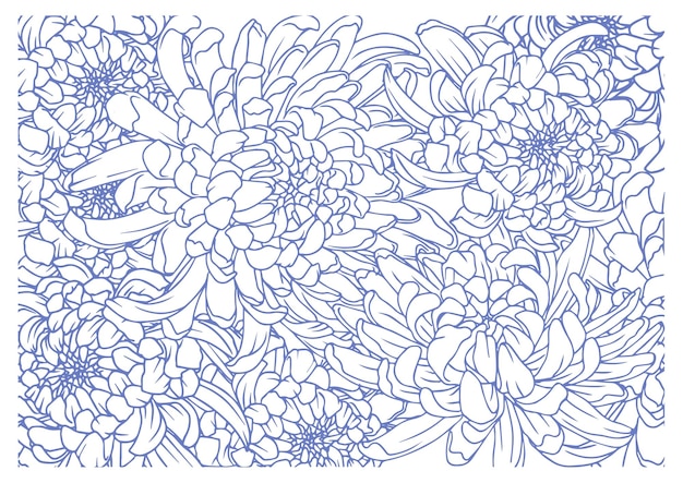 Plik wektorowy ręcznie rysowane chryzantemy kwiatki tło wektor