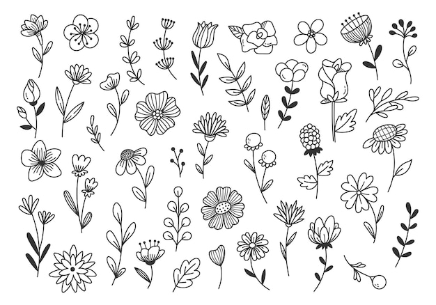 Plik wektorowy ręcznie rysowane doodle kwiatów i gałęzi