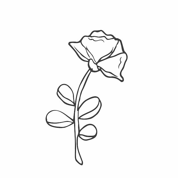 Ręcznie Rysowane Doodle Kwiaty. Prosty Minimalistyczny Szkic Kwiatu