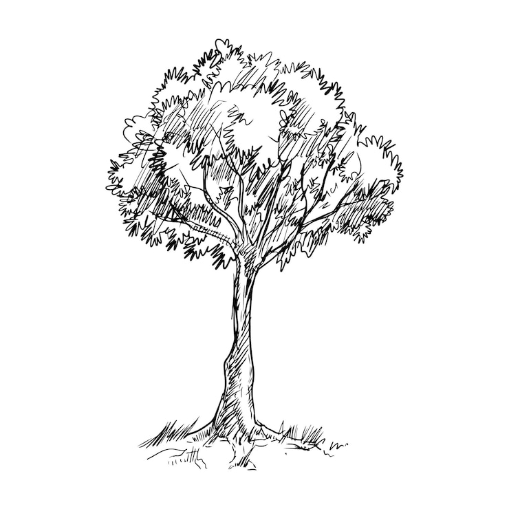 Wektor ręcznie rysowane drzewo na białym tle ilustracji wektorowych