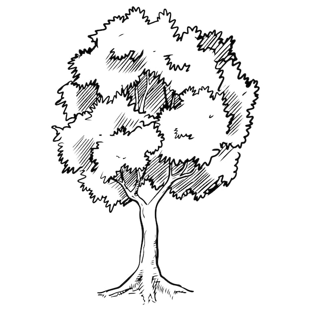 Plik wektorowy ręcznie rysowane drzewo na białym tle ilustracji wektorowych