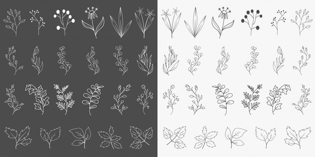 Ręcznie rysowane elementy botaniczne
