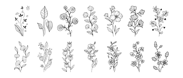 Plik wektorowy ręcznie rysowane elementy projektu wektorowego kwiatowy ilustracja wektorowa