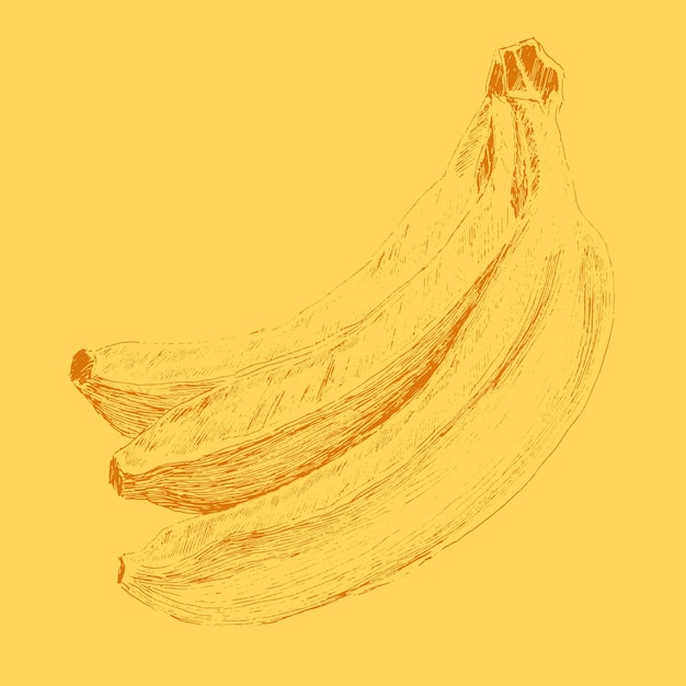 Ręcznie Rysowane Ilustracja Banana