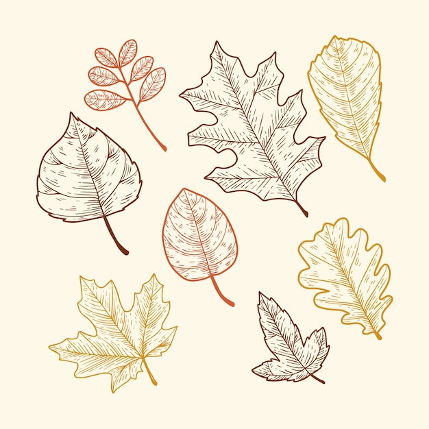 Ręcznie rysowane ilustracja dożynek
