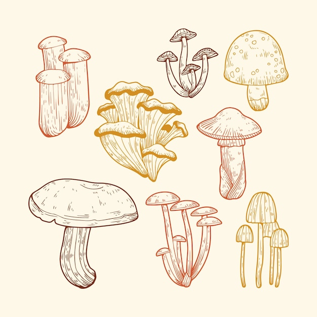 Ręcznie rysowane ilustracja dożynek