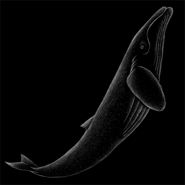 Ręcznie rysowane ilustracja w stylu kredy wieloryba