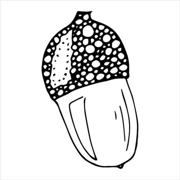 Ręcznie rysowane ilustracja żołądź do druku projektowanie stron internetowych wystrój Jesienny szkic botaniki