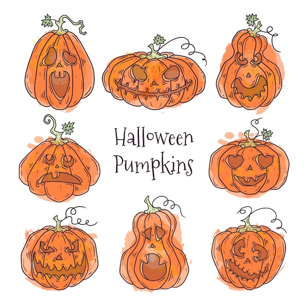 Ręcznie Rysowane Ilustracje Realistycznej Dyni Na Halloween
