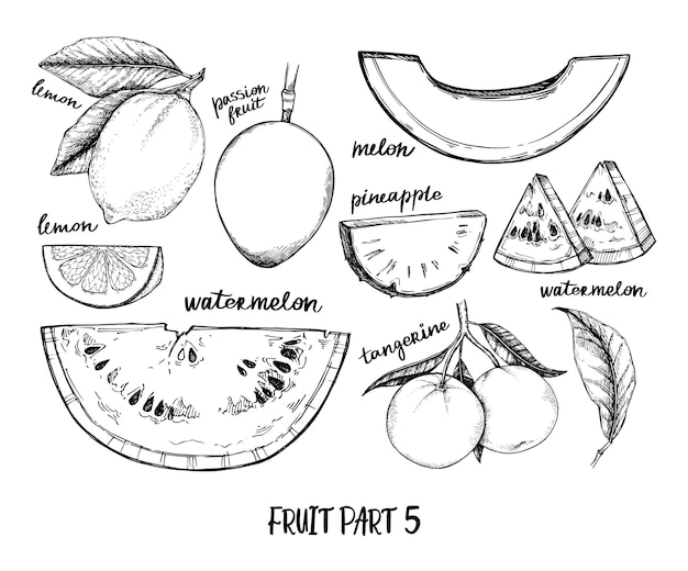 Ręcznie Rysowane Ilustracji. Miejscowe I Egzotyczne Owoce. Zdrowe Jedzenie. Arbuz, Ananas, Cytryna