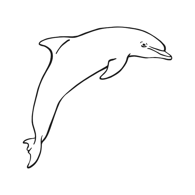 Ręcznie rysowane ilustracji wektorowych delfinów w stylu szkicu Skoki delfinów na białym tle