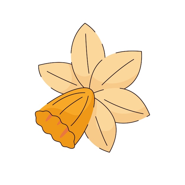 Plik wektorowy ręcznie rysowane ilustracji wektorowych kwiaty żonkila narcyza
