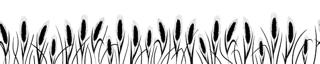 Ręcznie rysowane kłosy ziarna pszenicy jęczmienia czarno-białe wektor realistyczny szkic kłos pszenicy w całości