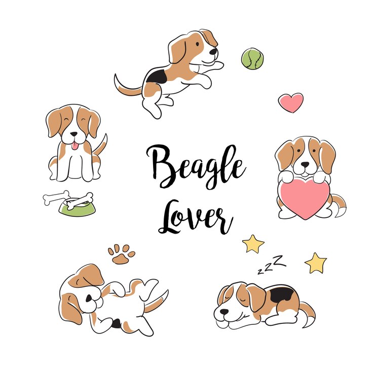 Wektor ręcznie rysowane kolekcji psów rasy beagle