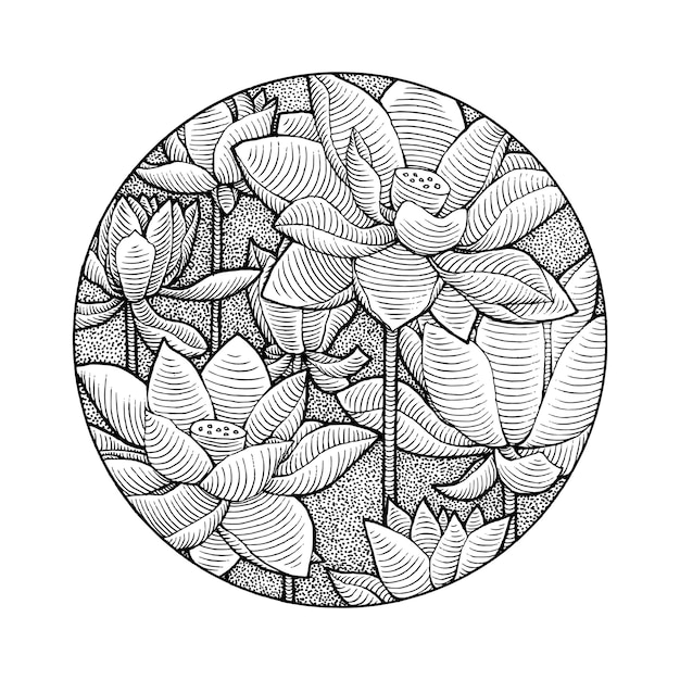 Plik wektorowy ręcznie rysowane kwiat lotosu