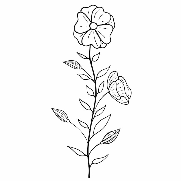 Ręcznie Rysowane Kwiat Na Białym Tle Wektor Kwiatowy Lato Element Dekoracyjne Doodle Szkic Ilustracji