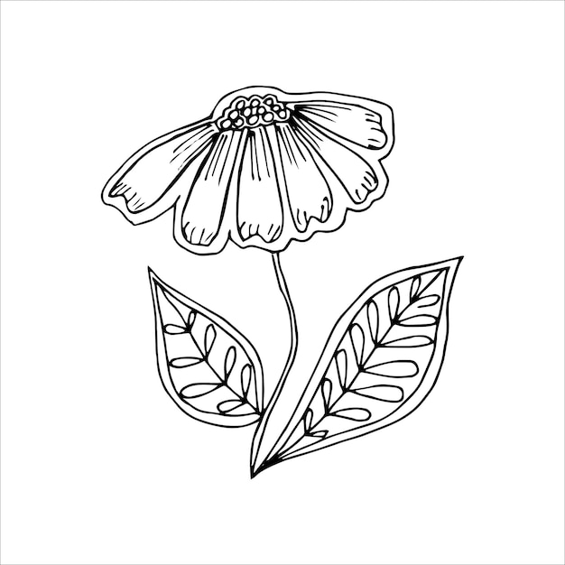 Ręcznie Rysowane Kwiat Pojedynczy Element Doodle Do Kolorowania Czarno-białego Obrazu Wektorowego