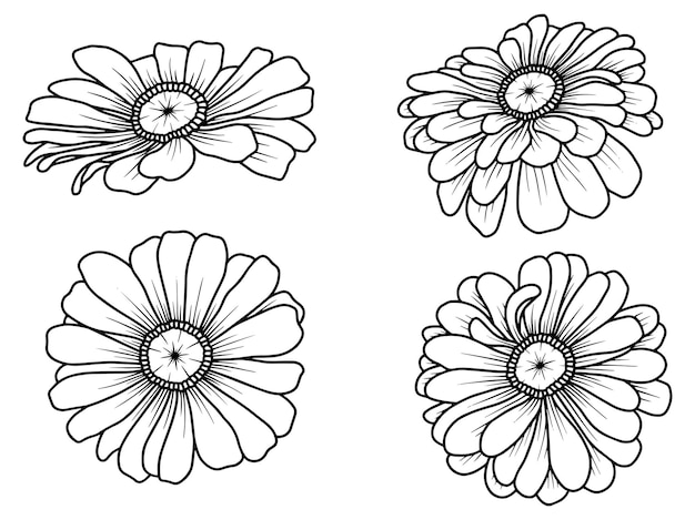 Plik wektorowy ręcznie rysowane kwiat szkic linii sztuki ilustracji zestaw margot kwiat linii sztuki