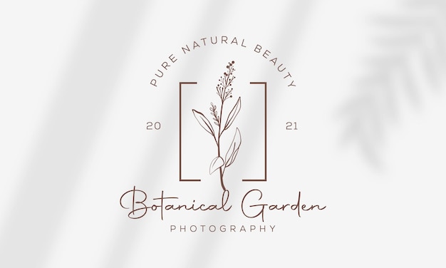 Ręcznie Rysowane Kwiatowy Botaniczny Pakiet Logo Kolekcja Ilustracji Dla Piękna Naturalnego Organicznego Premium