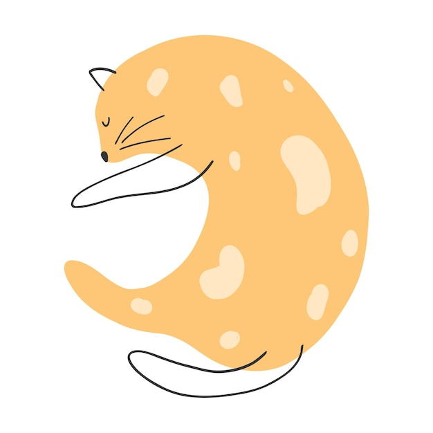 Ręcznie Rysowane ładny Kot Ilustracja Wektorowa Kotka śmieszne Zwierzę Na Plakat Tkanina Drukuj Dzieci Tekstylne Karty Projekt