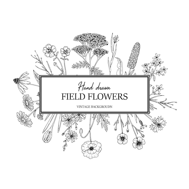Ręcznie Rysowane Letnie Dzikie Kwiaty Ramki Ilustracja Wektorowa W Stile Szkicu