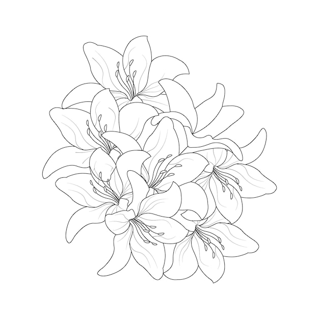 Plik wektorowy ręcznie rysowane lily flower line art vector illustration