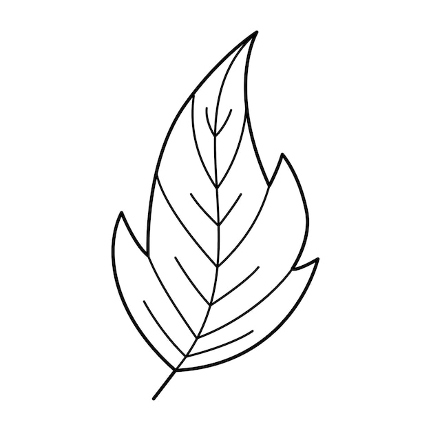 Ręcznie rysowane liść Doodle kwiatowy element projektu ogrodu Koncepcja ekologii