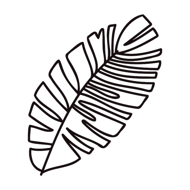 Ręcznie rysowane liście palmowe z widoku z góry w stylu doodle