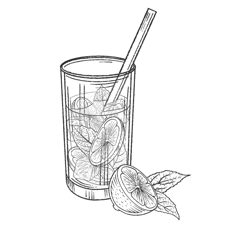Ręcznie rysowane monochromatyczne koktajl mojito z limonką, miętą i kostkami lodu. Ilustracja wektorowa. Na białym tle.