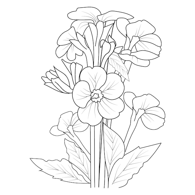 Ręcznie Rysowane Pierwszorzędna Ilustracja Wektorowa Kwiat Róży