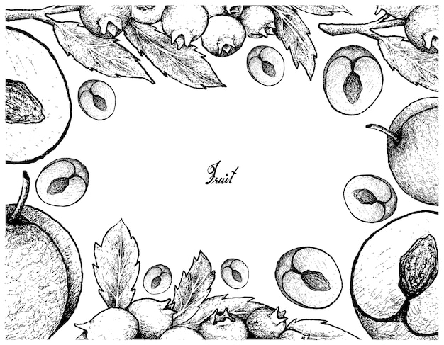 Plik wektorowy ręcznie rysowane rama śliwki i jagód