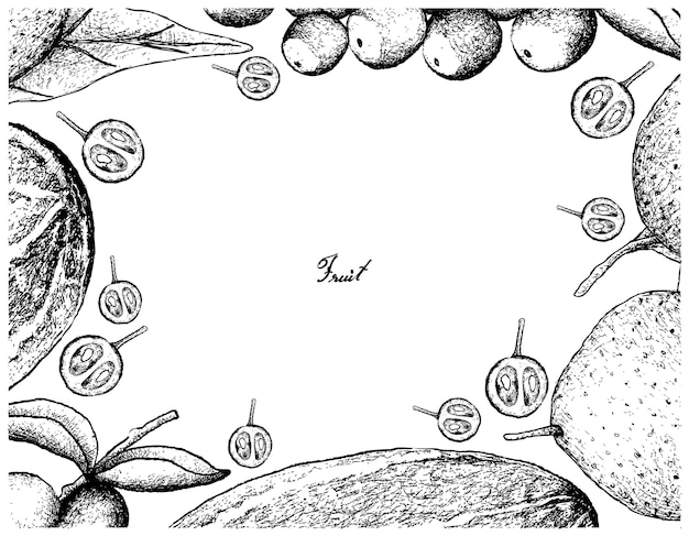 Ręcznie Rysowane Rama świeżych Owoców Na Białym Tle